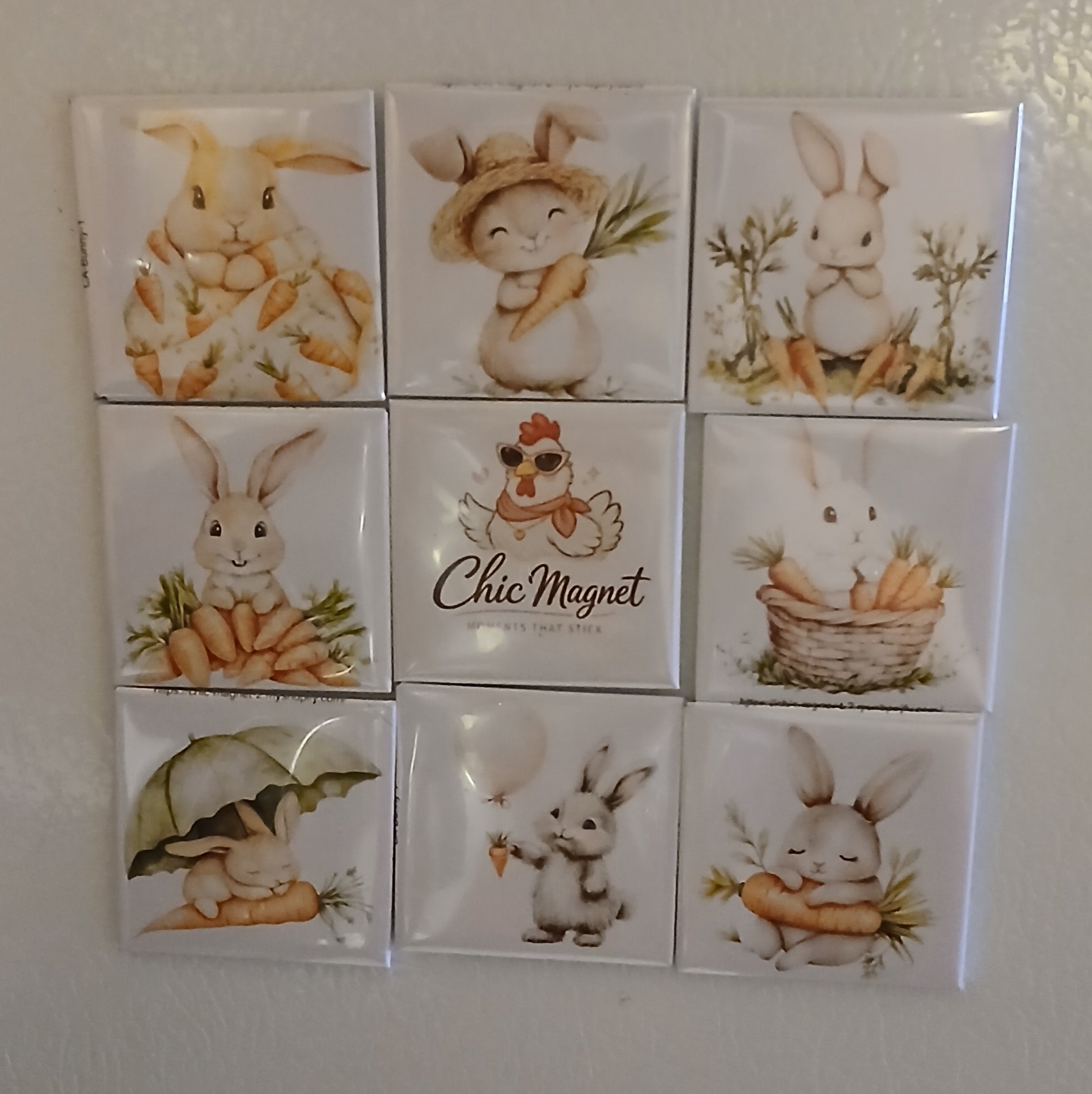 Easter Bunny Magnet Set – 9 Cute 2x2 Spring Fridge Magnets